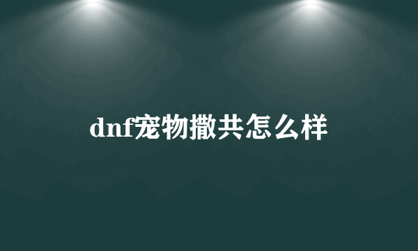 dnf宠物撒共怎么样