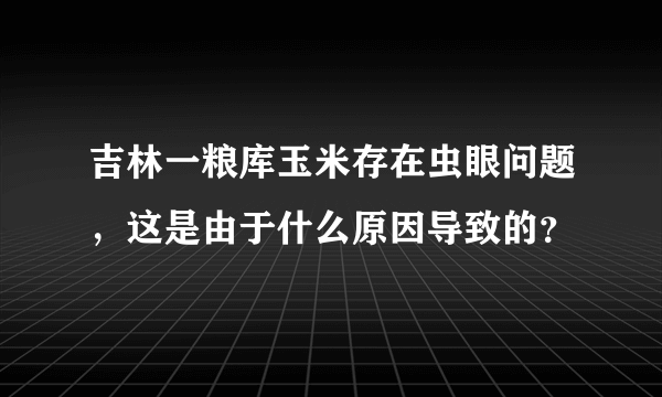 吉林一粮库玉米存在虫眼问题，这是由于什么原因导致的？