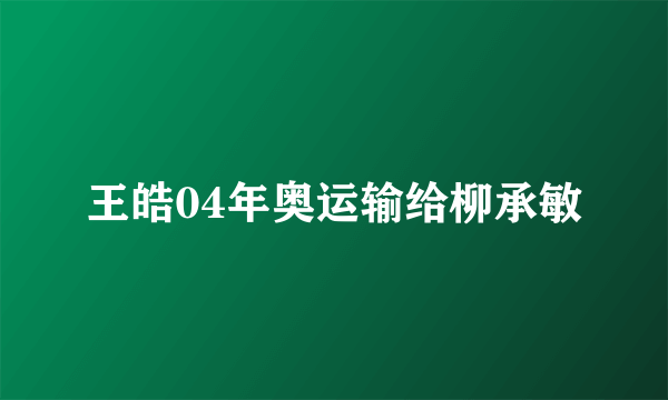 王皓04年奥运输给柳承敏