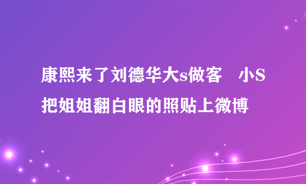 康熙来了刘德华大s做客   小S把姐姐翻白眼的照贴上微博