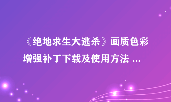 《绝地求生大逃杀》画质色彩增强补丁下载及使用方法 画质补丁怎么用