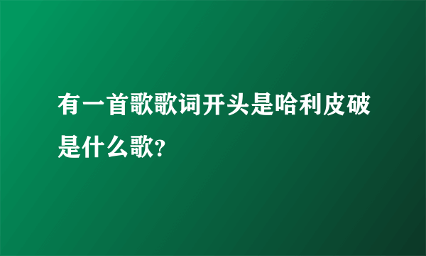 有一首歌歌词开头是哈利皮破是什么歌？