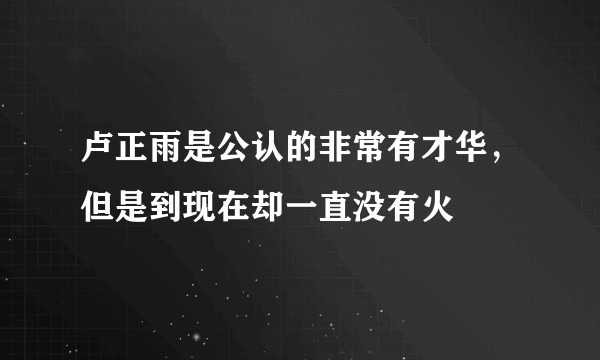 卢正雨是公认的非常有才华，但是到现在却一直没有火