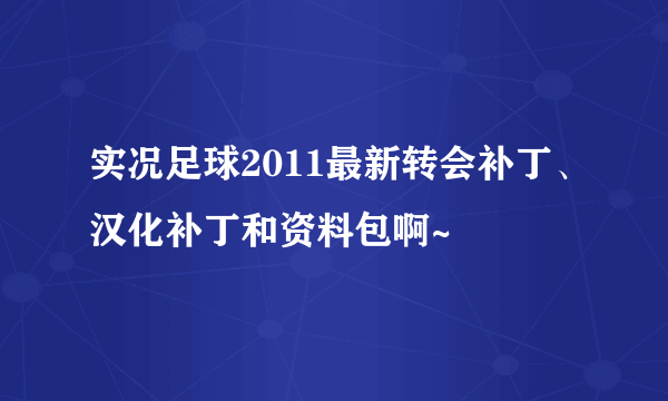 实况足球2011最新转会补丁、汉化补丁和资料包啊~