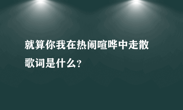 就算你我在热闹喧哗中走散 歌词是什么？