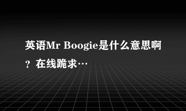 英语Mr Boogie是什么意思啊？在线跪求…