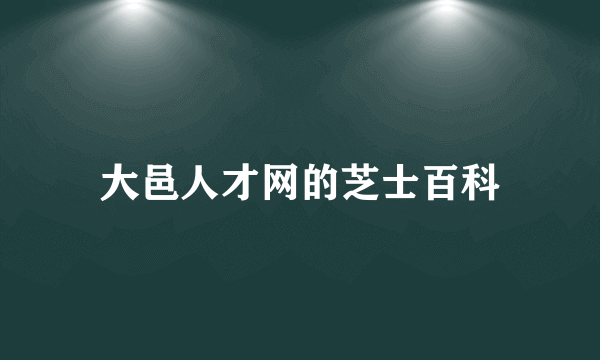 大邑人才网的芝士百科