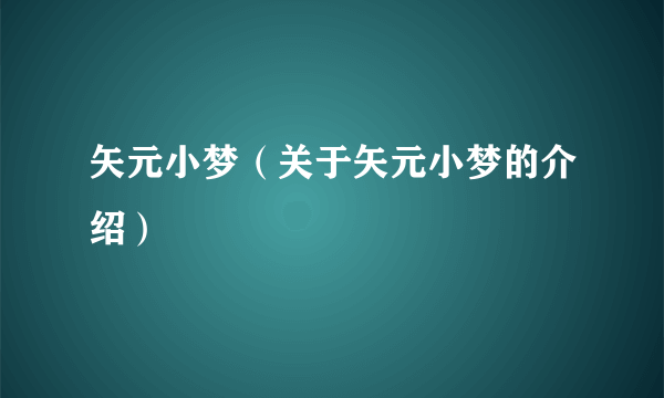 矢元小梦（关于矢元小梦的介绍）