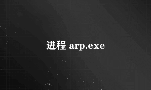 进程 arp.exe