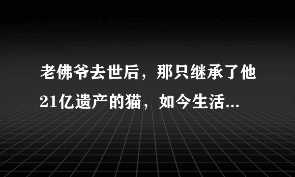 老佛爷去世后，那只继承了他21亿遗产的猫，如今生活得怎样？