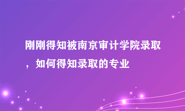 刚刚得知被南京审计学院录取，如何得知录取的专业