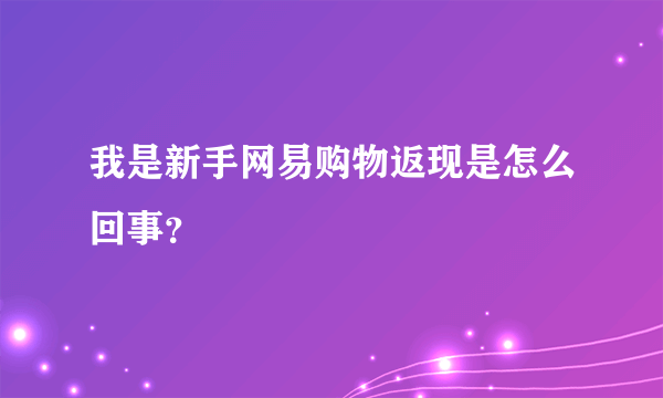 我是新手网易购物返现是怎么回事？