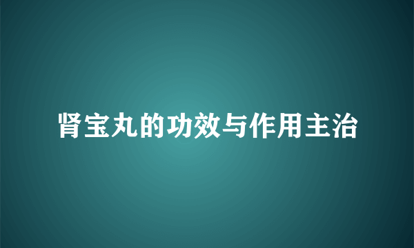 肾宝丸的功效与作用主治