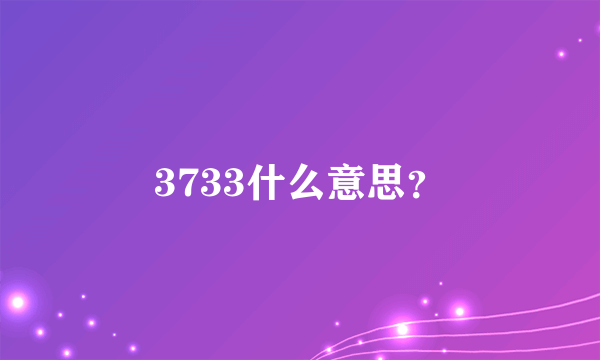 3733什么意思？