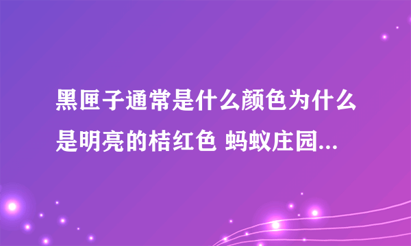 黑匣子通常是什么颜色为什么是明亮的桔红色 蚂蚁庄园10月17日答案