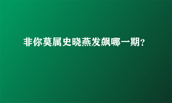 非你莫属史晓燕发飙哪一期？