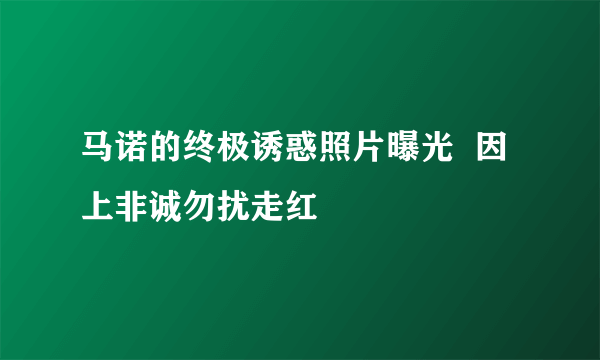 马诺的终极诱惑照片曝光  因上非诚勿扰走红