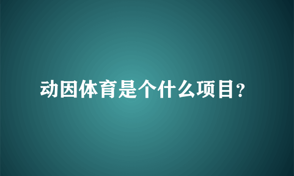 动因体育是个什么项目？