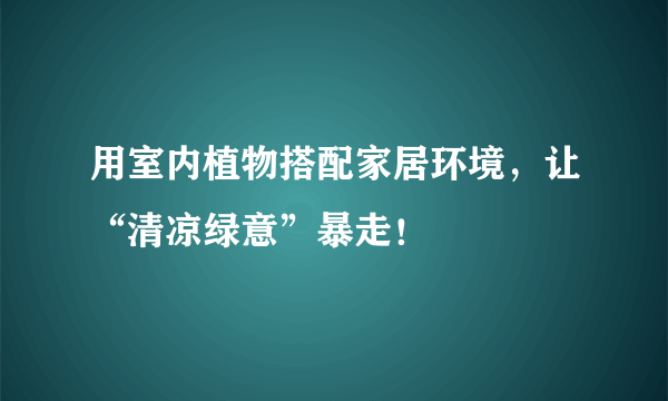 用室内植物搭配家居环境，让“清凉绿意”暴走！