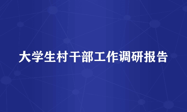 大学生村干部工作调研报告