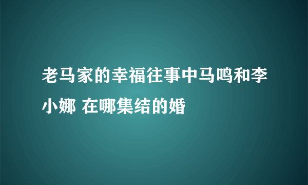 老马家的幸福往事中马鸣和李小娜 在哪集结的婚