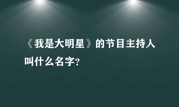 《我是大明星》的节目主持人叫什么名字？