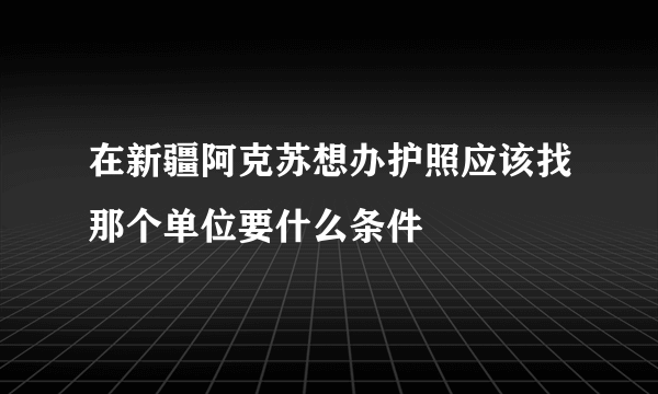 在新疆阿克苏想办护照应该找那个单位要什么条件