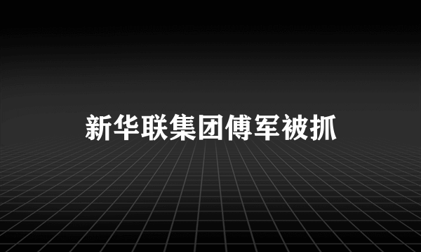 新华联集团傅军被抓