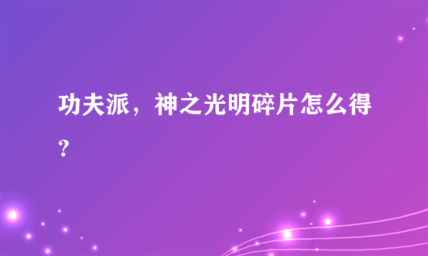 功夫派，神之光明碎片怎么得？