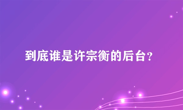 到底谁是许宗衡的后台？