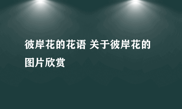 彼岸花的花语 关于彼岸花的图片欣赏