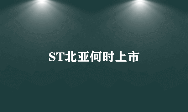 ST北亚何时上市