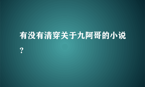 有没有清穿关于九阿哥的小说？