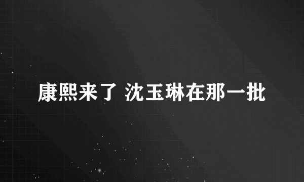 康熙来了 沈玉琳在那一批