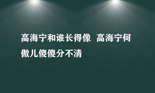 高海宁和谁长得像  高海宁何傲儿傻傻分不清