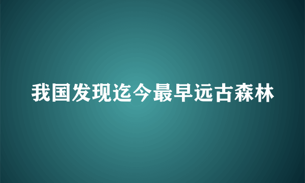 我国发现迄今最早远古森林