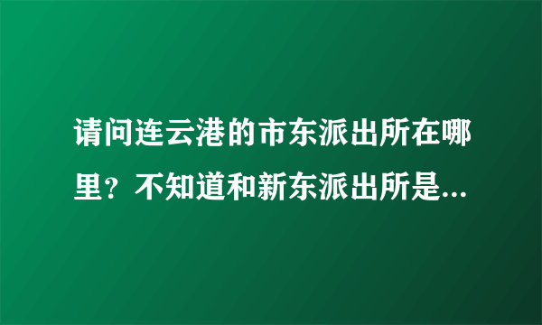 请问连云港的市东派出所在哪里？不知道和新东派出所是不是一个？