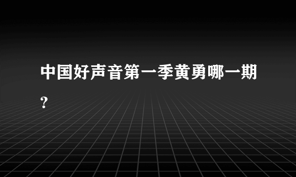 中国好声音第一季黄勇哪一期？