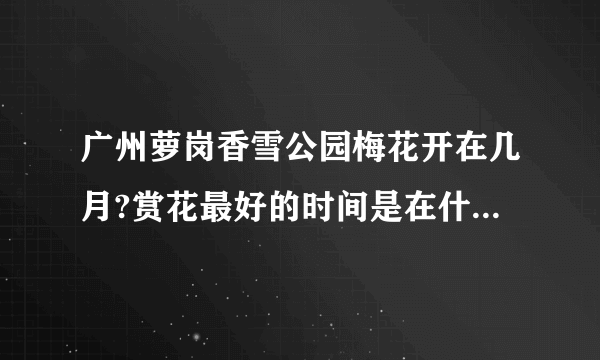 广州萝岗香雪公园梅花开在几月?赏花最好的时间是在什么时候呢?