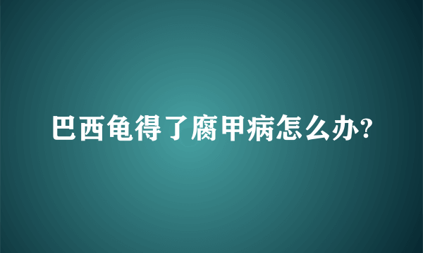 巴西龟得了腐甲病怎么办?