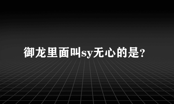 御龙里面叫sy无心的是？