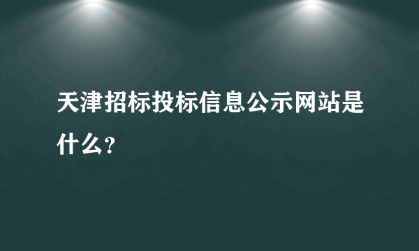 天津招标投标信息公示网站是什么？