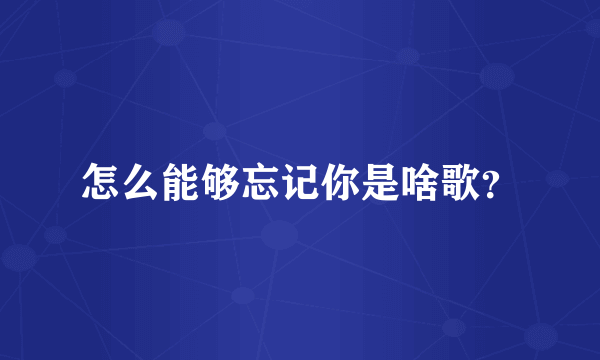 怎么能够忘记你是啥歌？