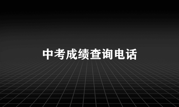 中考成绩查询电话