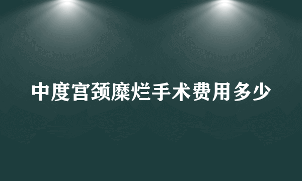 中度宫颈糜烂手术费用多少