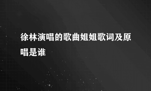 徐林演唱的歌曲姐姐歌词及原唱是谁