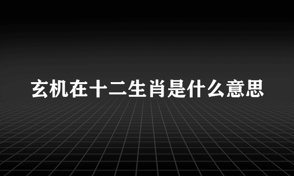 玄机在十二生肖是什么意思