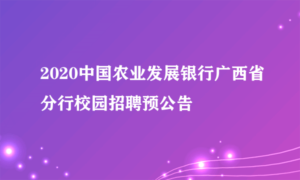 2020中国农业发展银行广西省分行校园招聘预公告