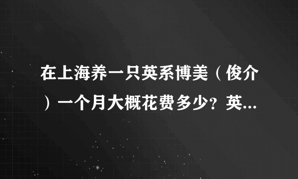 在上海养一只英系博美（俊介）一个月大概花费多少？英系博美可以一个人在家吗？每个星期有两天不能陪它，