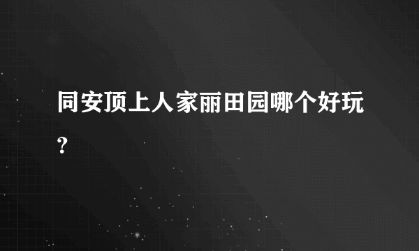 同安顶上人家丽田园哪个好玩？